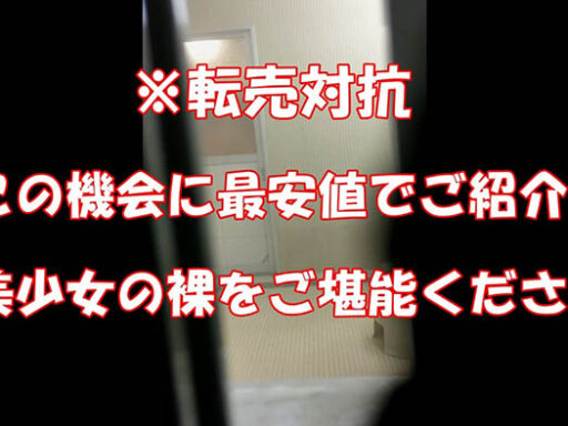 ＃転売対抗＃【修正版】ハリのある乳