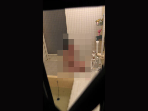 【民家】見えないけどＣ