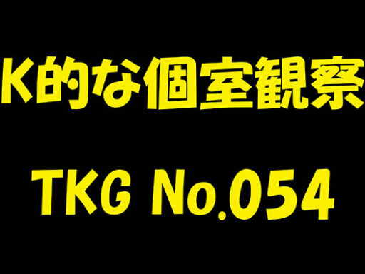 K的な個室観察 TKG No.054