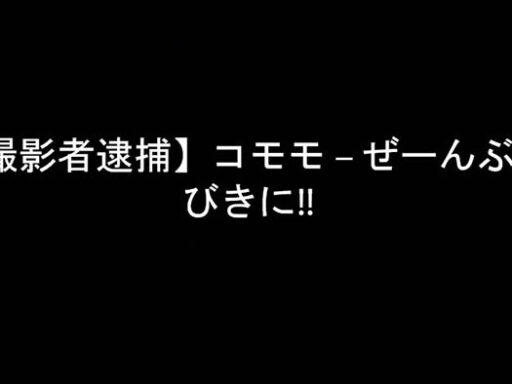 【撮影者逮捕】コモモ – ぜーんぶ・びきに!!
