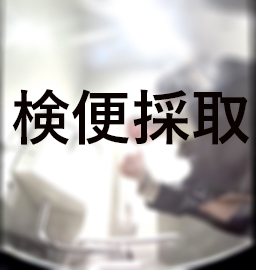 採取するセーラー